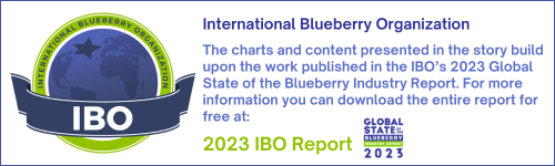 report2023